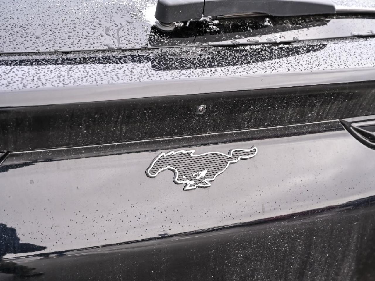 2025 Ford Mustang Mach-E Premium Photo4