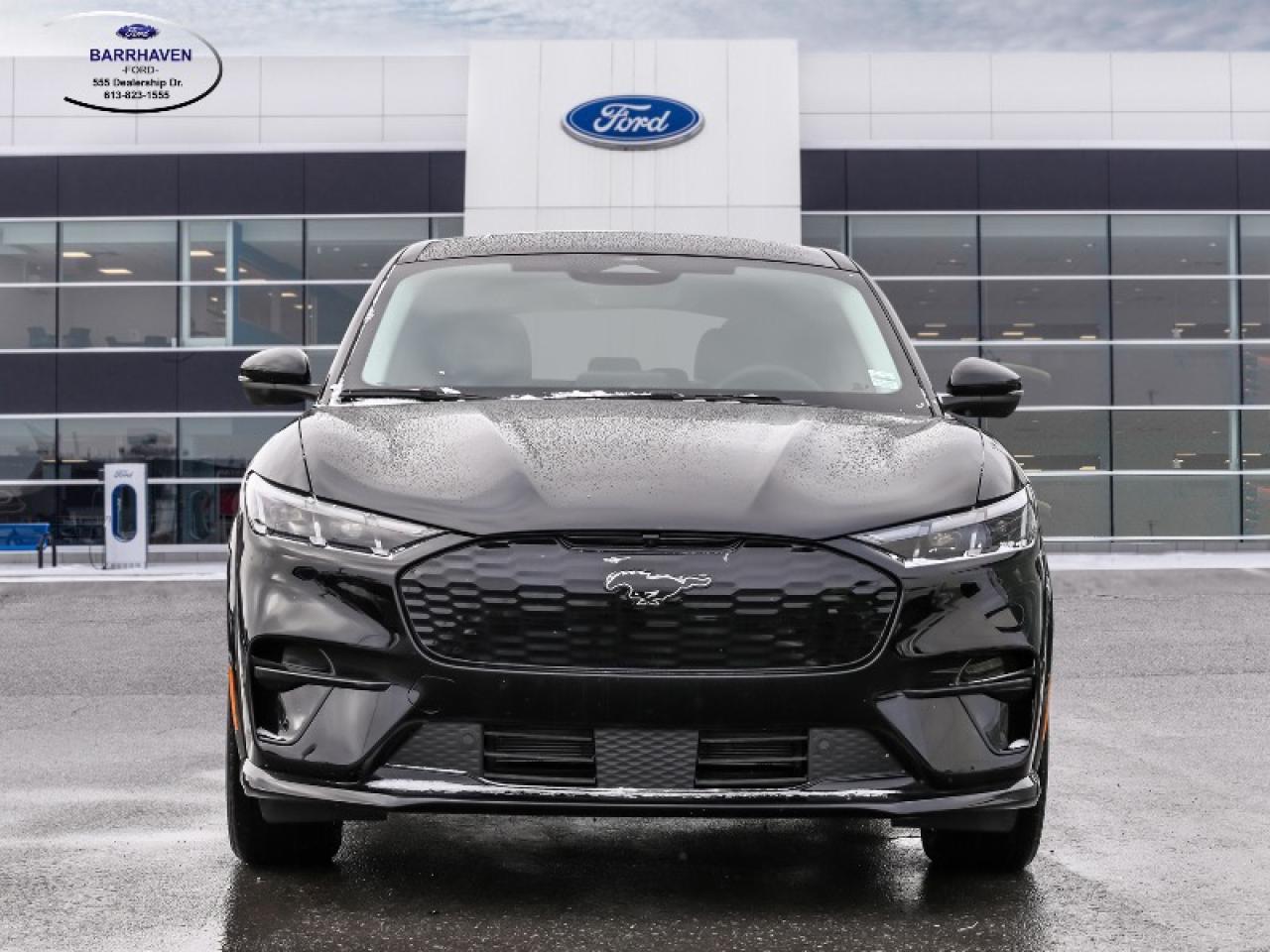 2025 Ford Mustang Mach-E Premium Photo