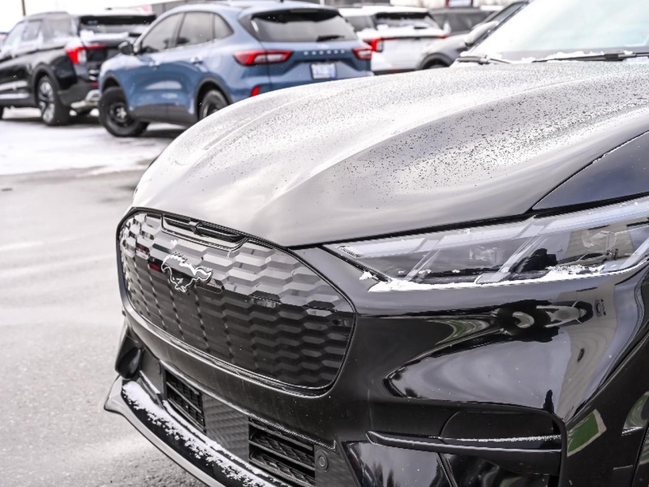 2025 Ford Mustang Mach-E Premium Photo