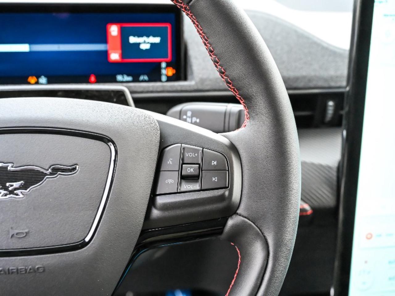 2025 Ford Mustang Mach-E Premium Photo