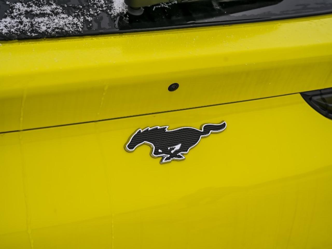 2025 Ford Mustang Mach-E Premium Photo4