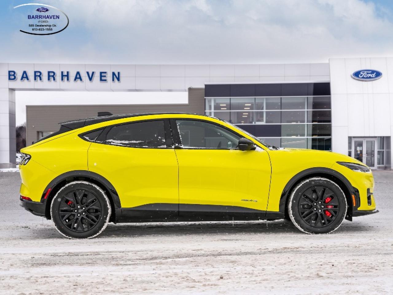 2025 Ford Mustang Mach-E Premium Photo