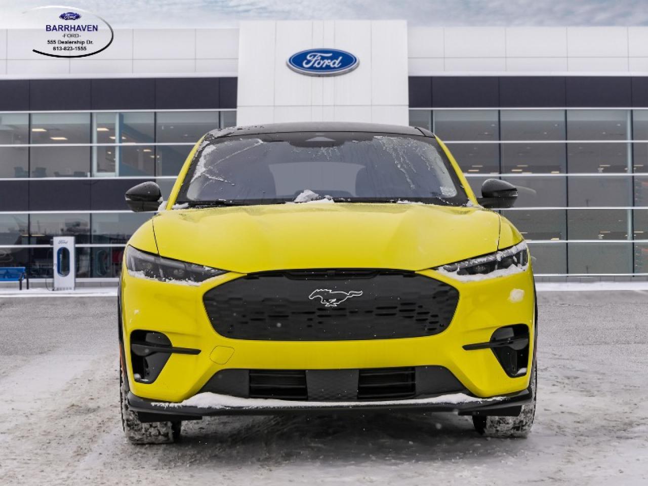 2025 Ford Mustang Mach-E Premium Photo