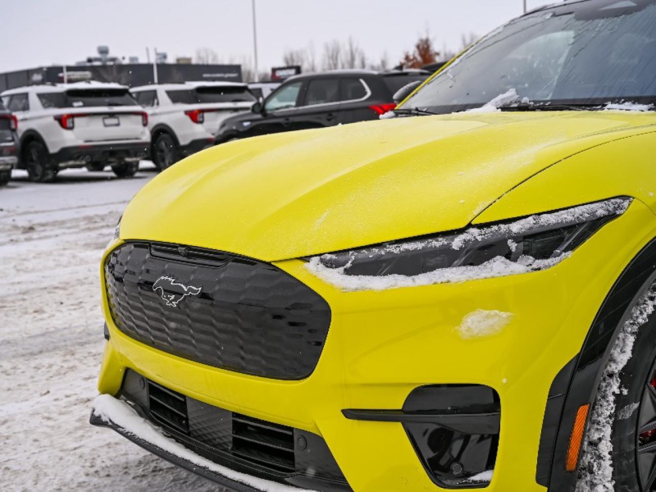 2025 Ford Mustang Mach-E Premium Photo