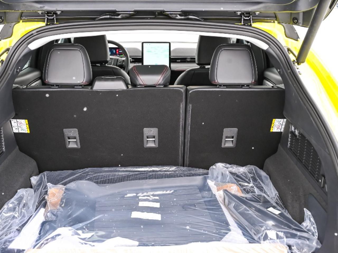 2025 Ford Mustang Mach-E Premium Photo