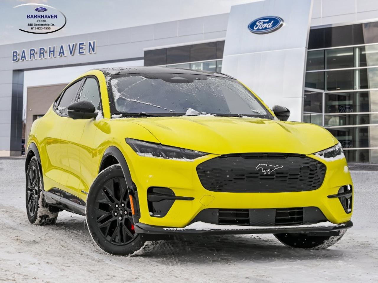 2025 Ford Mustang Mach-E Premium Photo