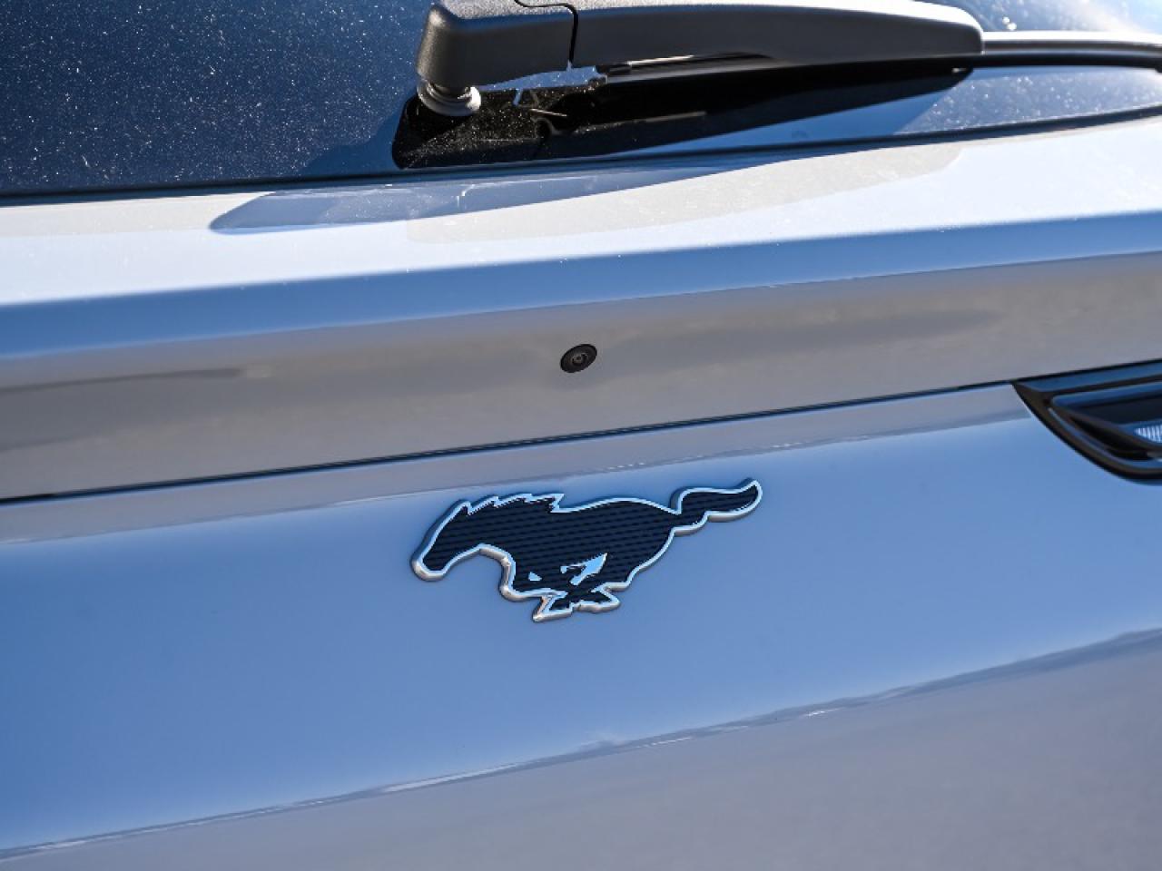 2025 Ford Mustang Mach-E Premium Photo4