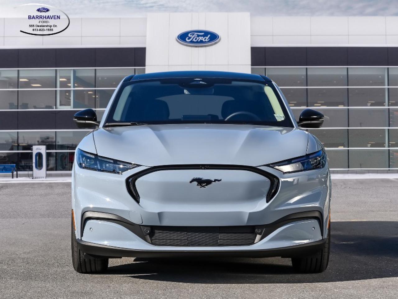 2025 Ford Mustang Mach-E Premium Photo