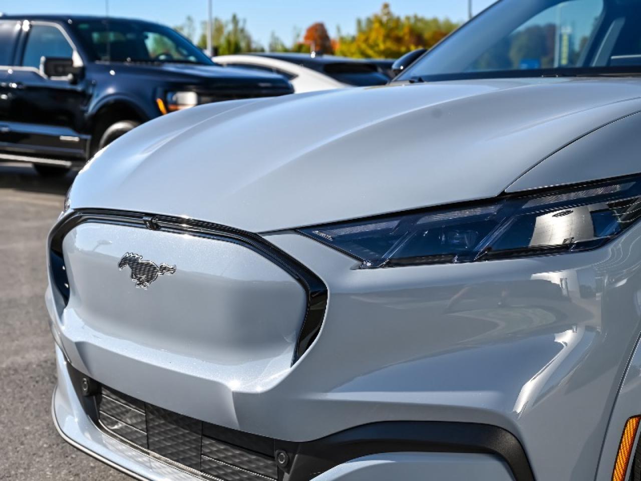 2025 Ford Mustang Mach-E Premium Photo