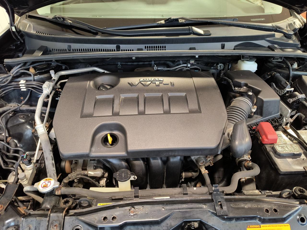 2019 Toyota Corolla LE Photo0