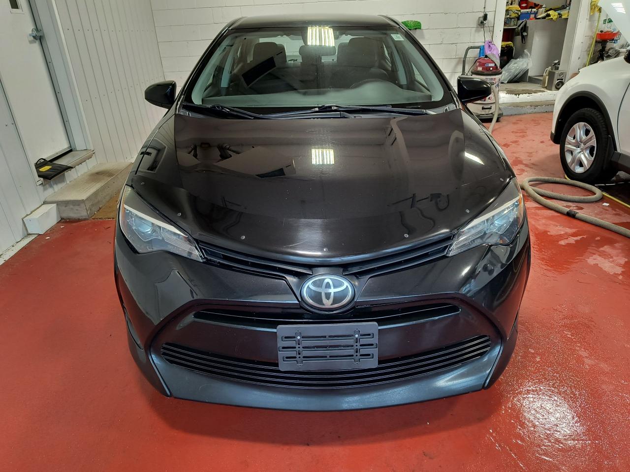 2019 Toyota Corolla LE Photo0