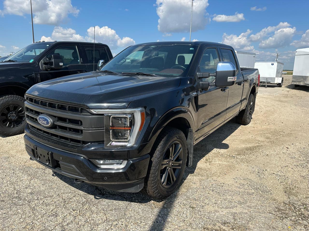 Used 2022 Ford F-150 Lariat for sale in Elie, MB