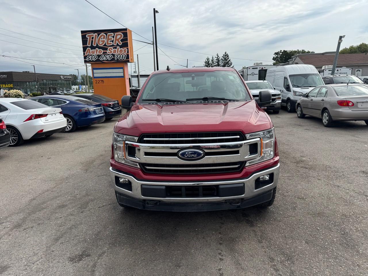 2019 Ford F-150 XLT, 4X4, CREW CAB, V6, ONLY 135KMS, CERTIFIED - Photo #8