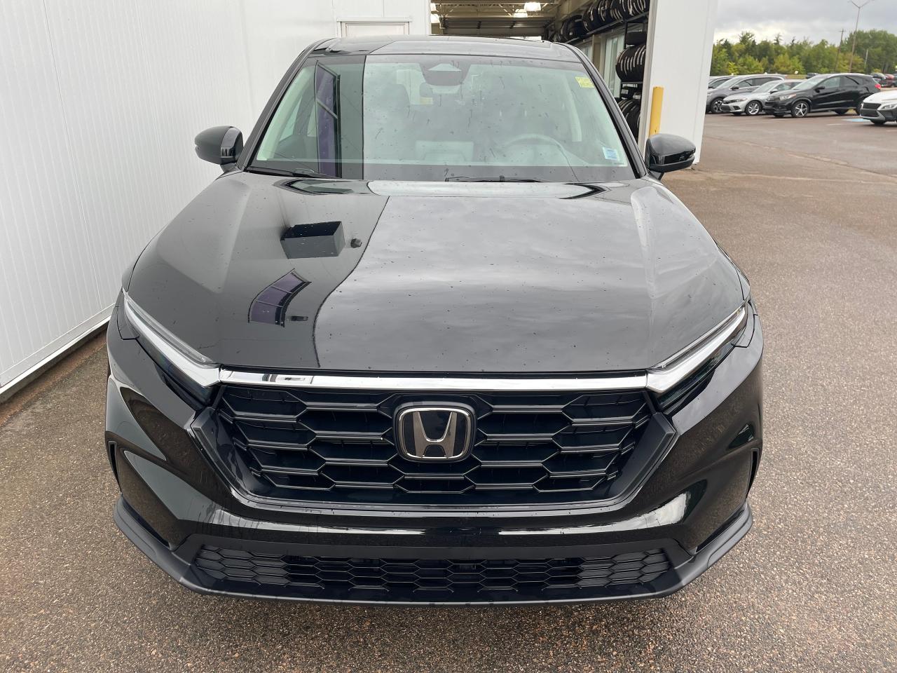 2025 Honda CR-V LX Photo2