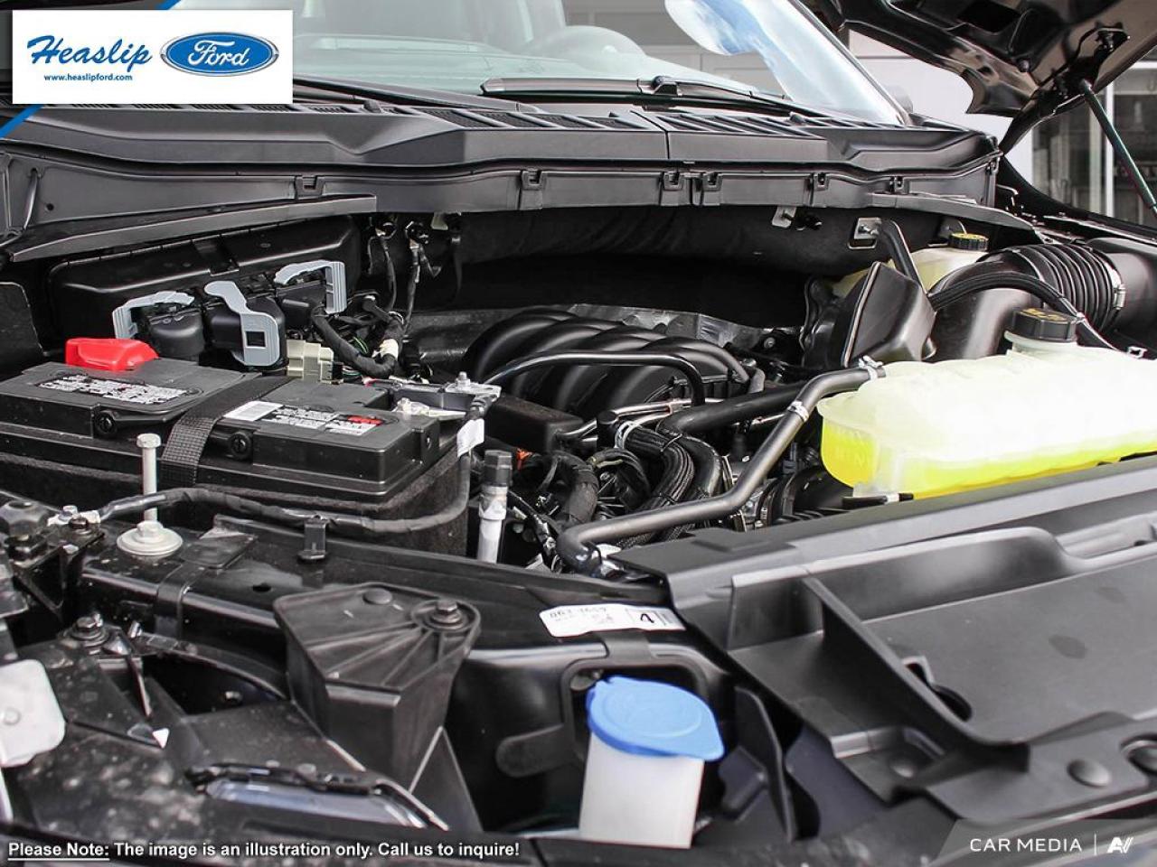 2025 Ford F-150 XLT Photo5