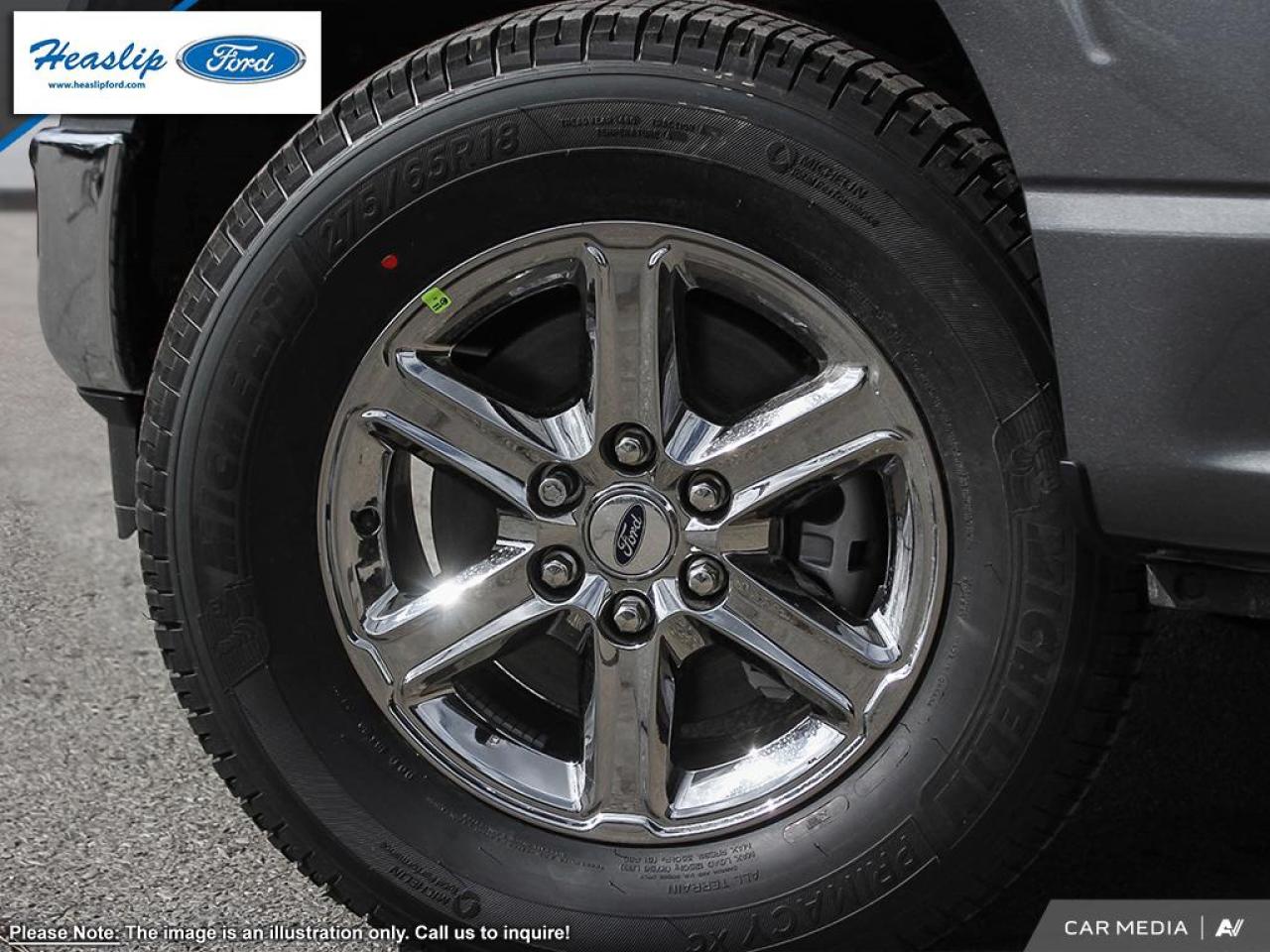 2025 Ford F-150 XLT Photo5