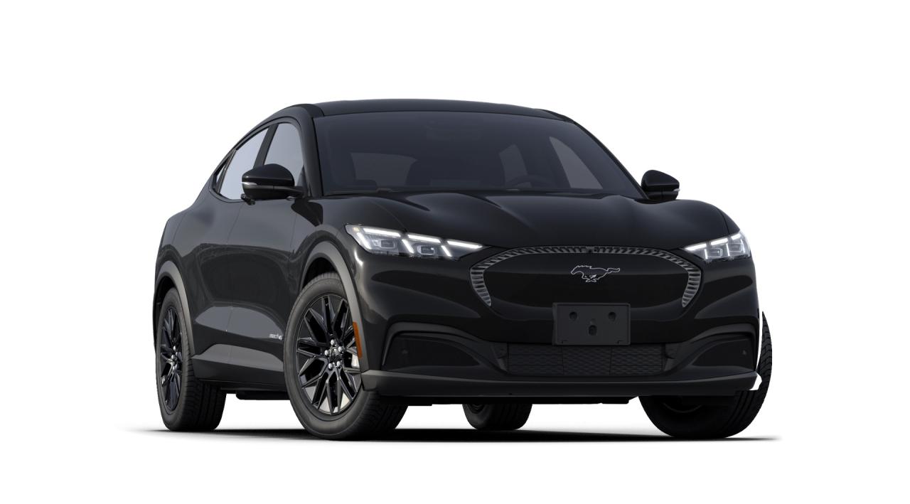 2025 Ford Mustang Mach-E Select Photo