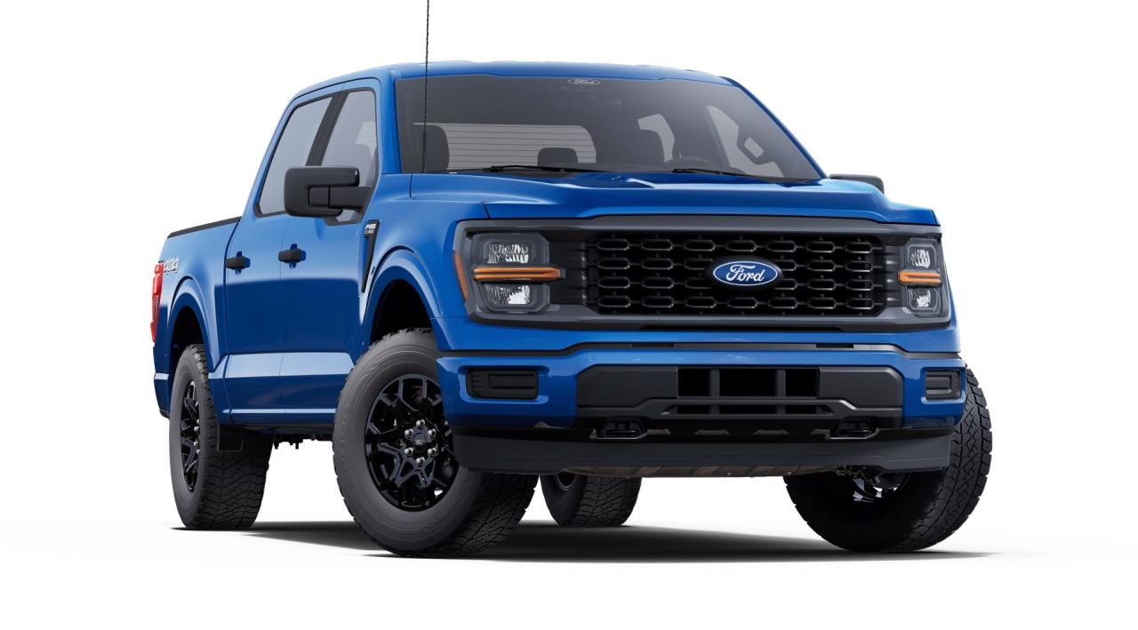 2025 Ford F-150 STX 4WD SuperCrew 5.5' Box Photo3
