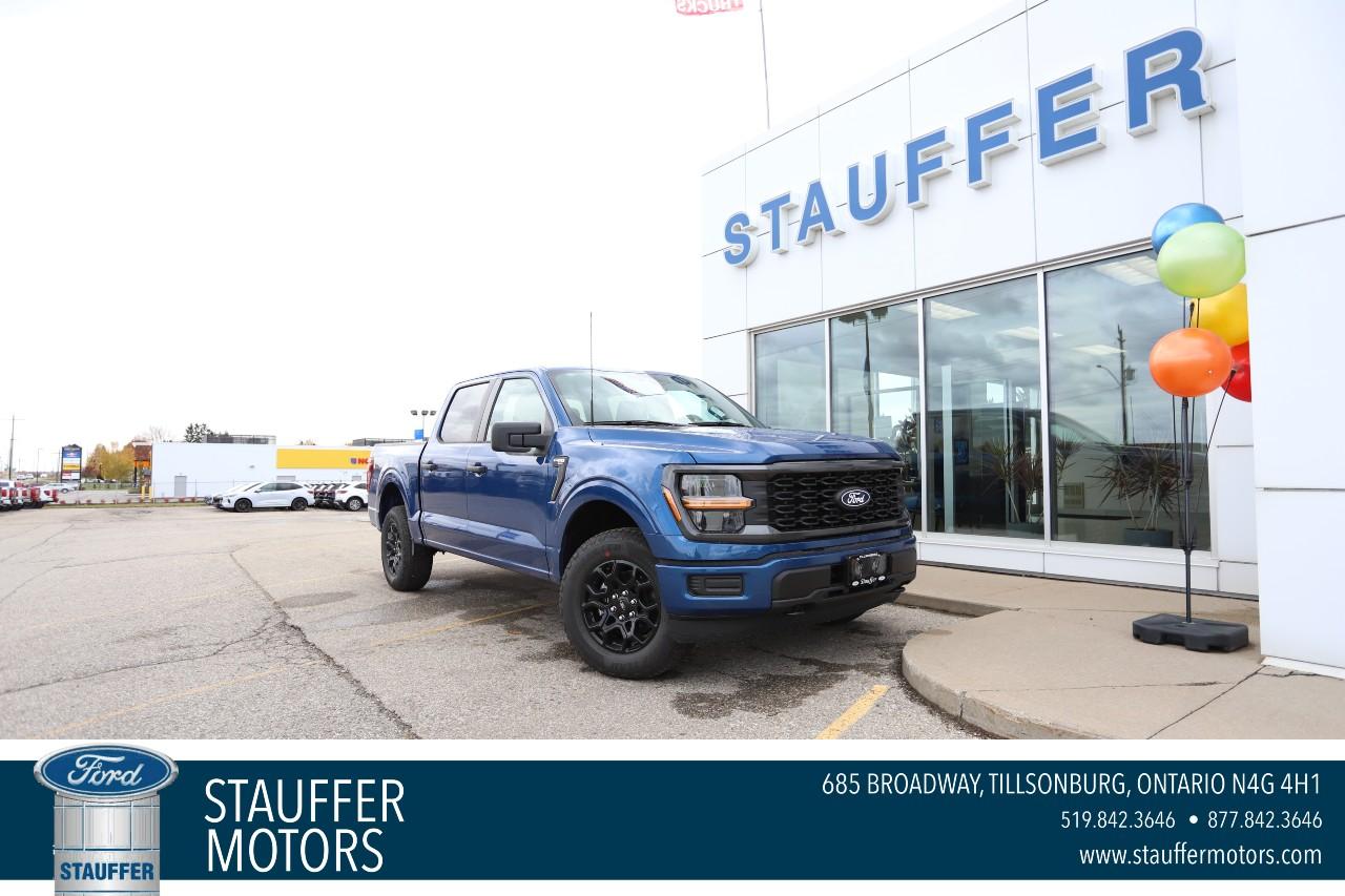 2025 Ford F-150 STX 4WD SuperCrew 5.5' Box Photo0