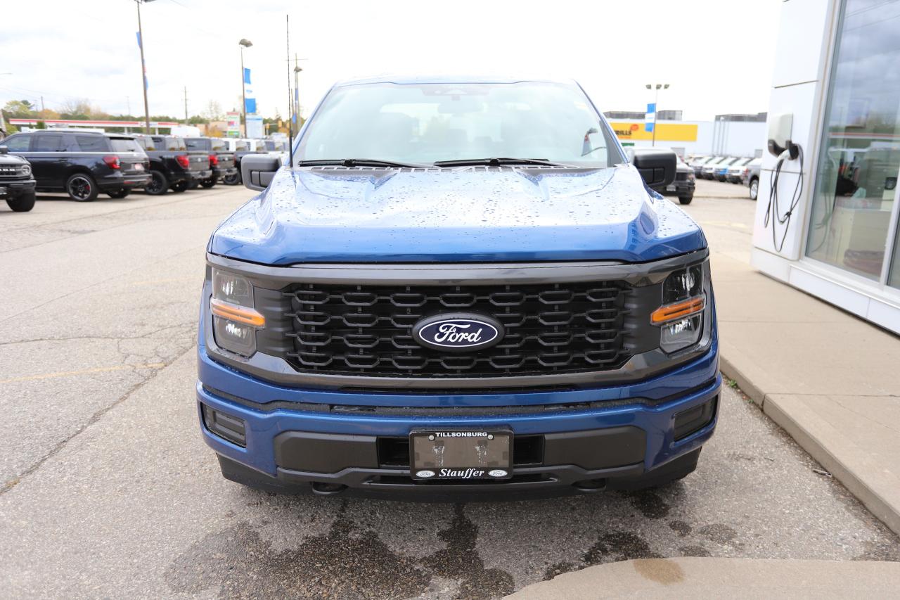 2025 Ford F-150 STX 4WD SuperCrew 5.5' Box Photo