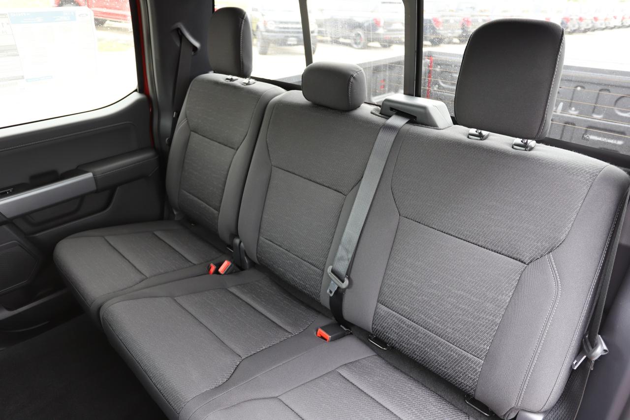 2025 Ford F-150 XLT 4WD SuperCrew 5.5' Box Photo