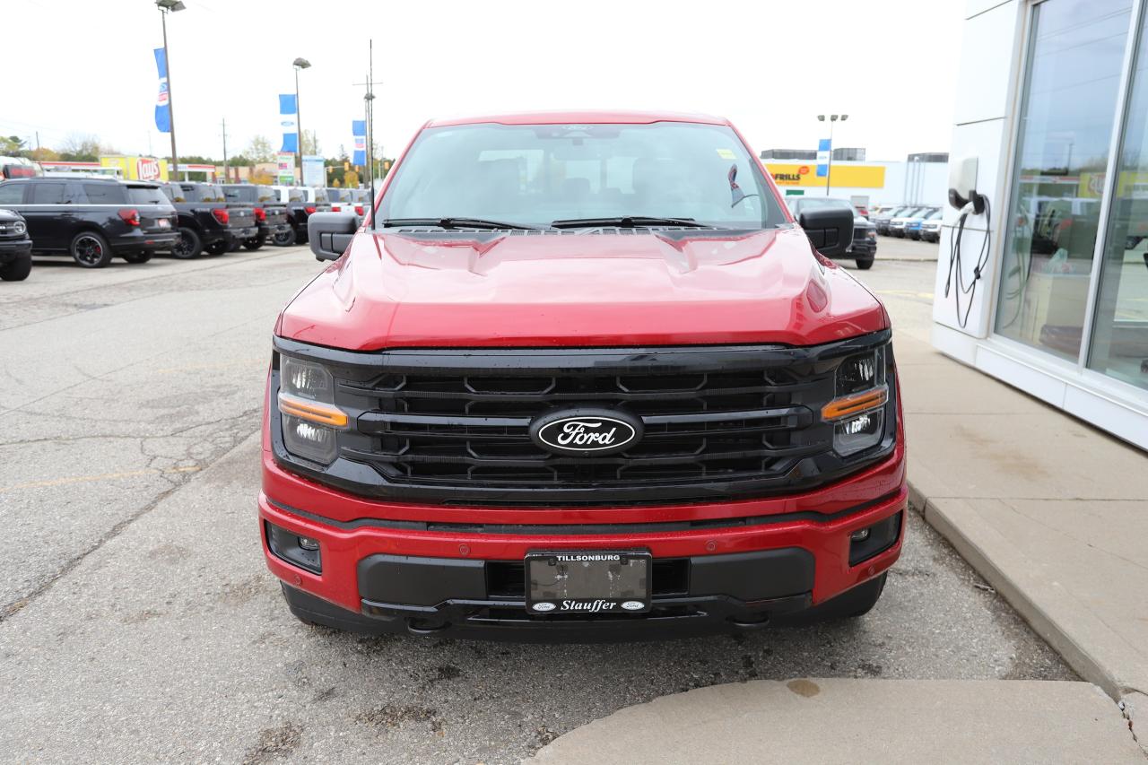 2025 Ford F-150 XLT 4WD SuperCrew 5.5' Box Photo