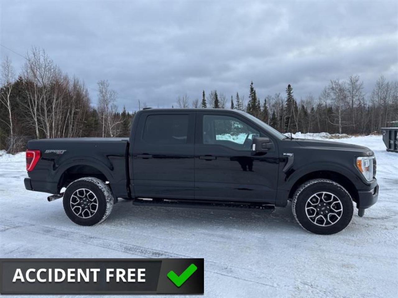 2023 Ford F-150 XLT  Navigation GPS Photo