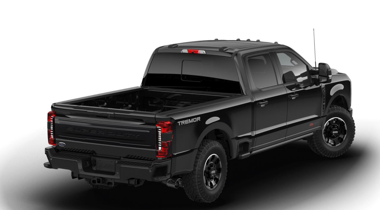 2026 Ford F-350 Super Duty SRW Platinum Photo5