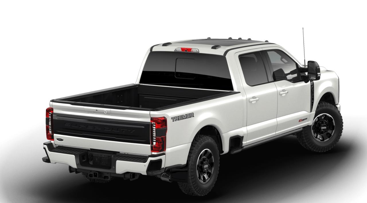 2026 Ford F-350 Super Duty SRW Platinum Photo2