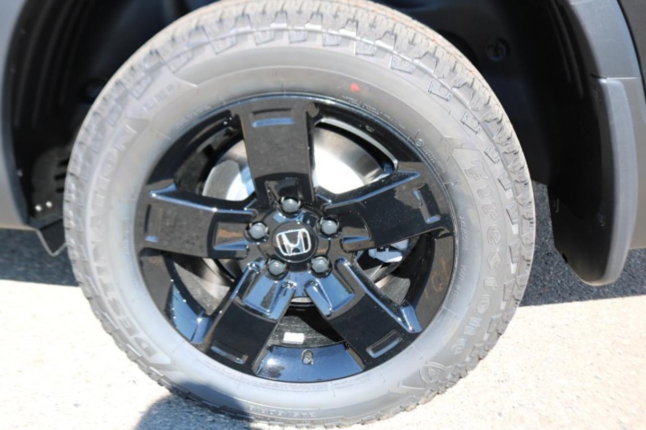 2025 Honda Ridgeline  Photo