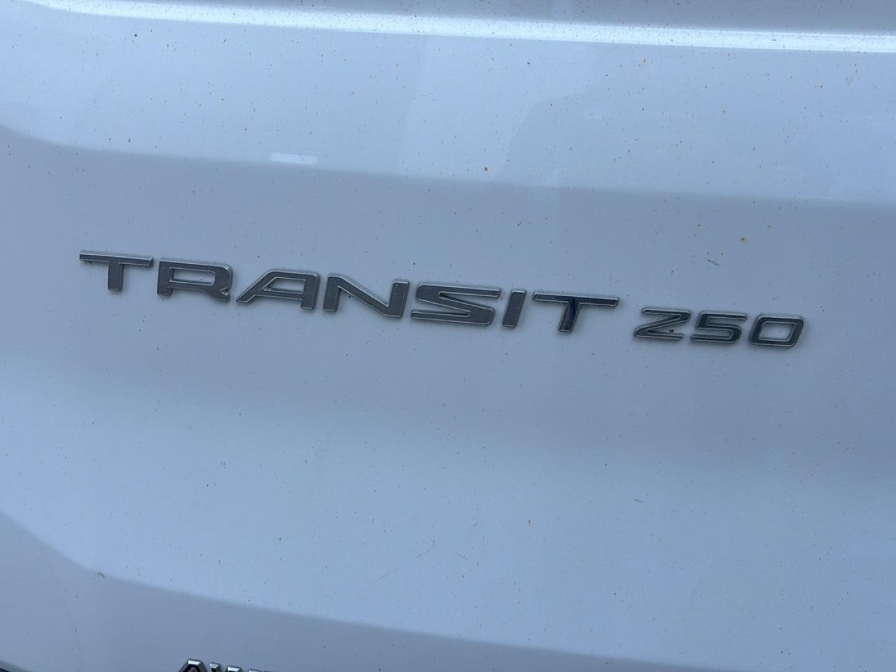12917033