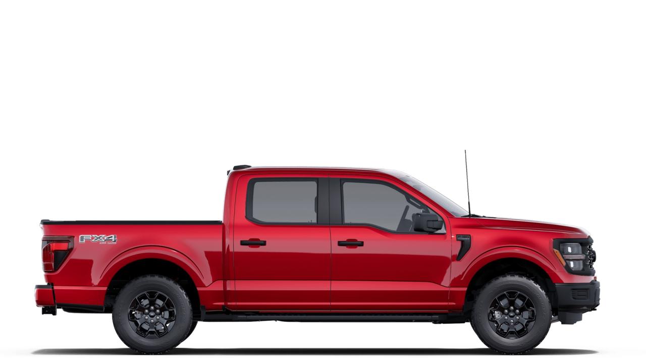 2025 Ford F-150  Photo4