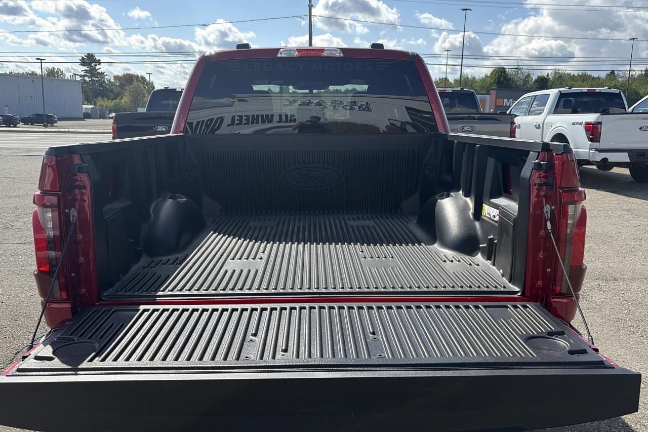 2025 Ford F-150  Photo