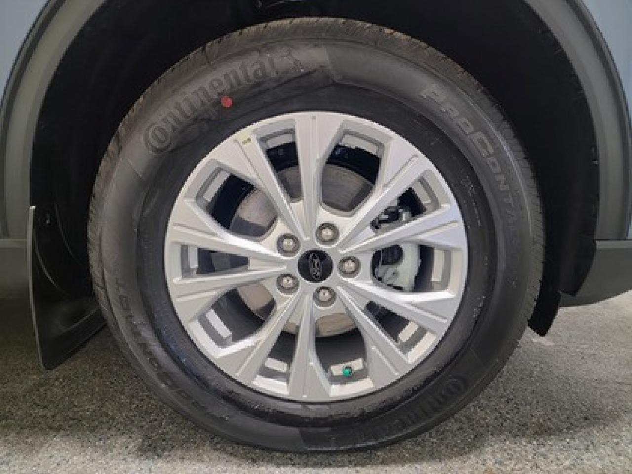 12918146