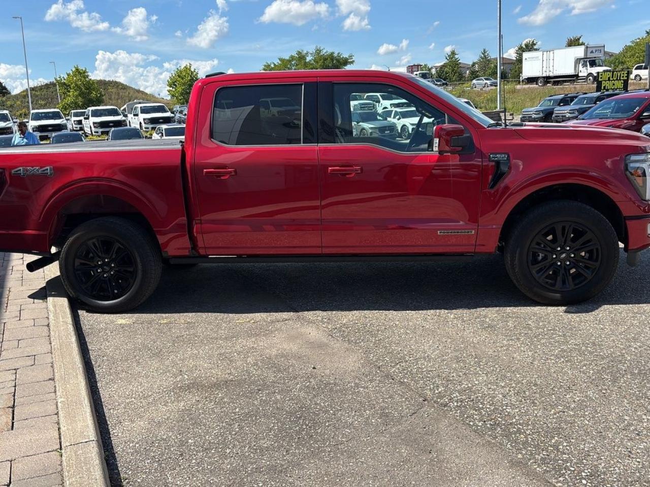 2025 Ford F-150 Platinum Photo