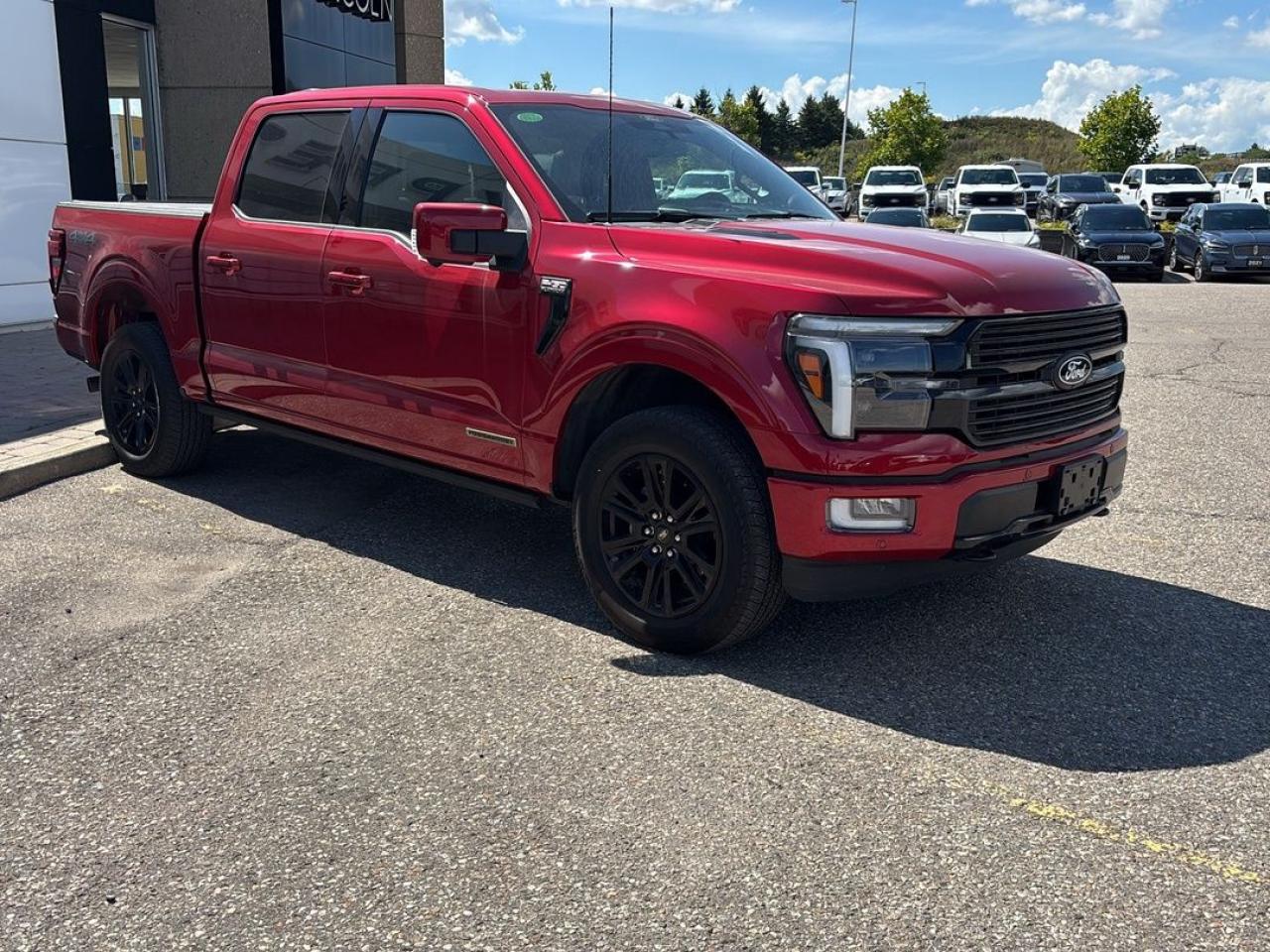 2025 Ford F-150 Platinum Photo