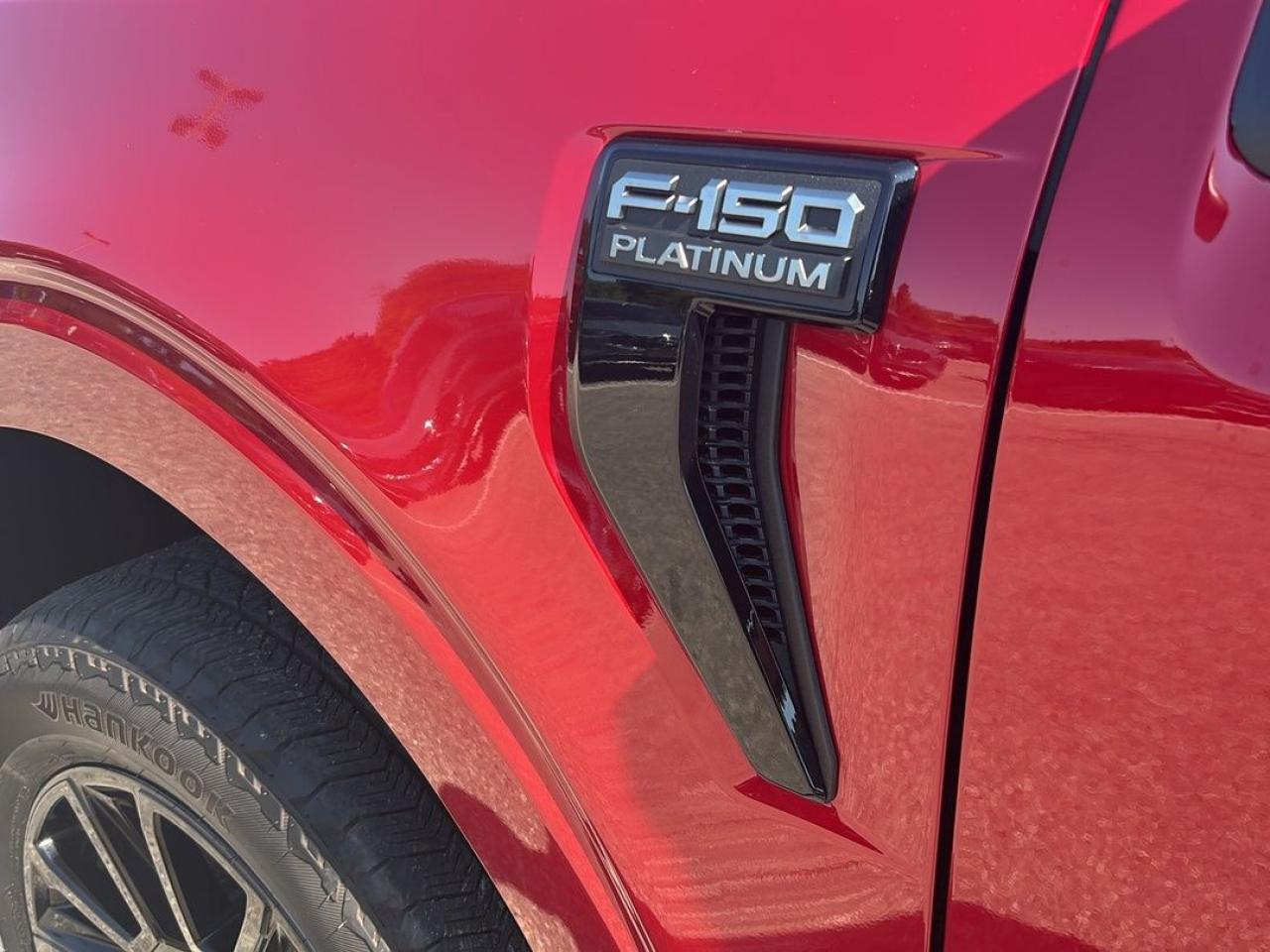2025 Ford F-150 Platinum Photo5