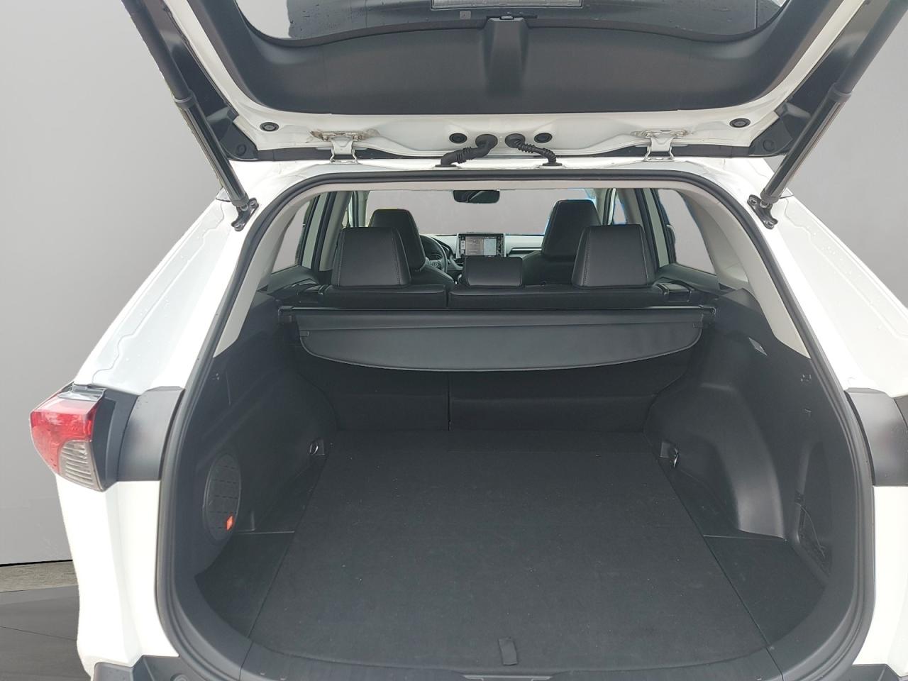 2020 Toyota RAV4 LIMITED  Photo