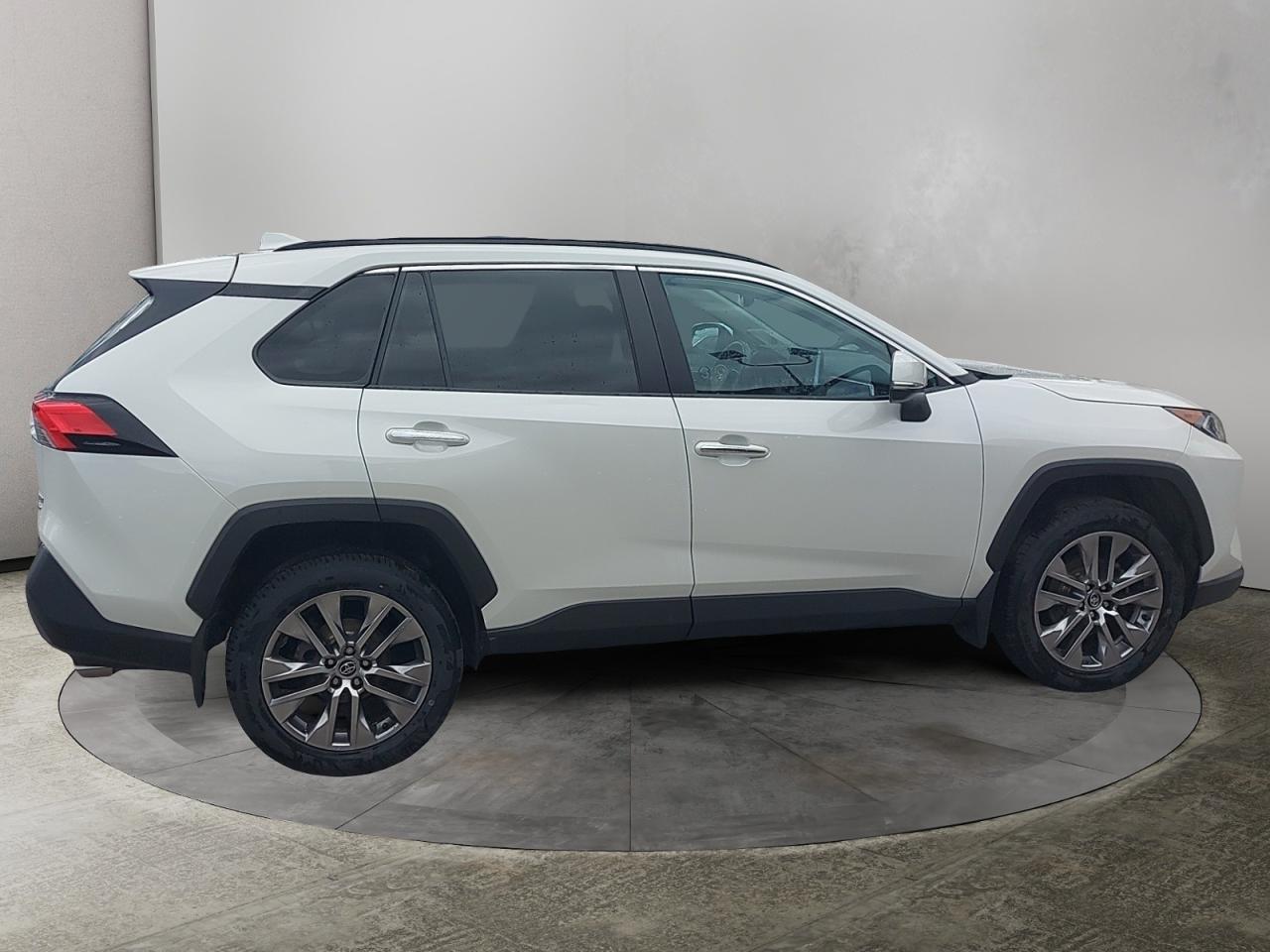 2020 Toyota RAV4 LIMITED  Photo