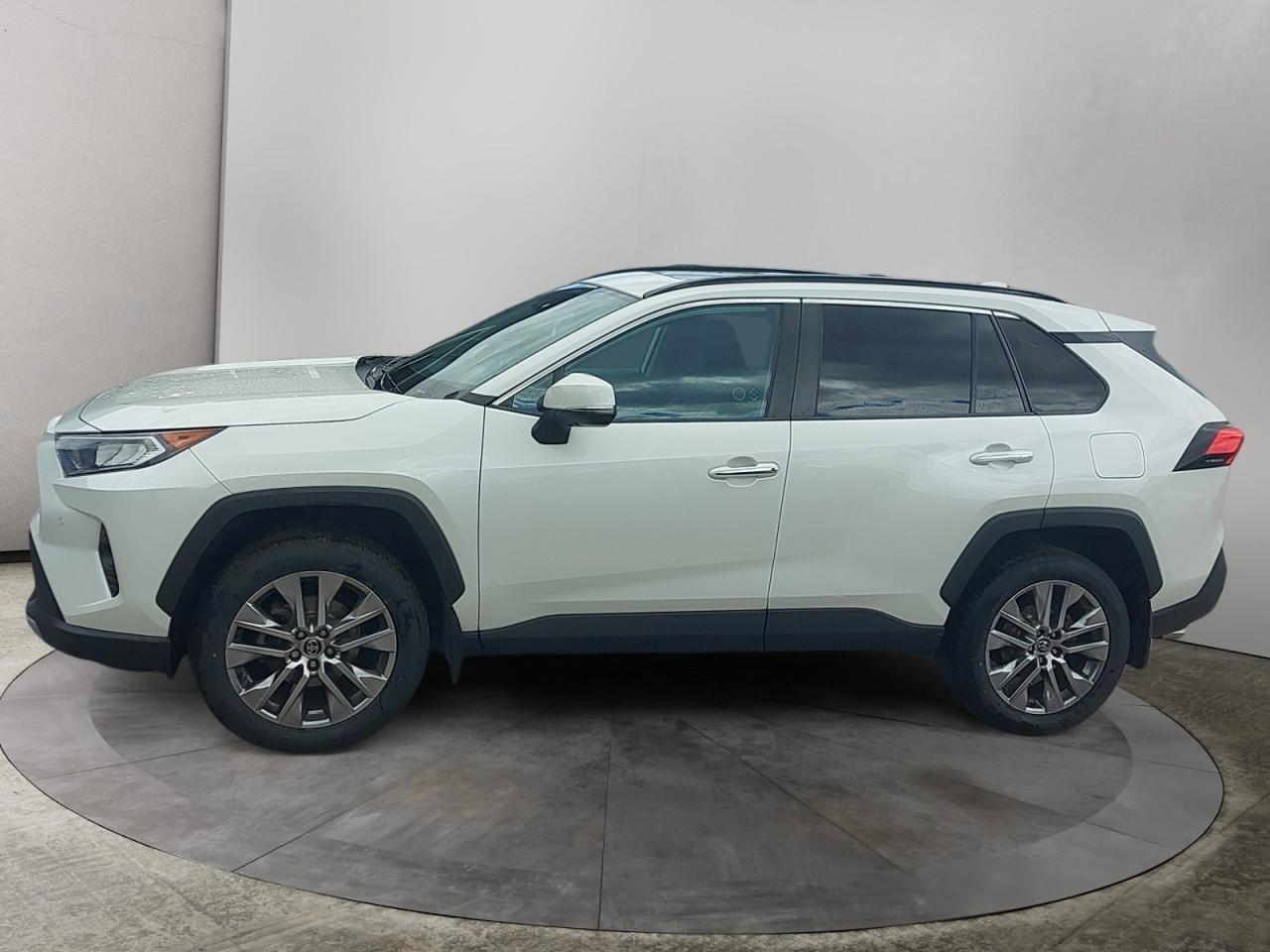 2020 Toyota RAV4 LIMITED  Photo