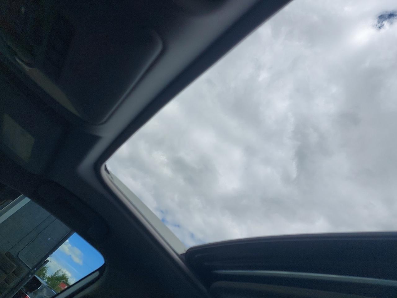 2020 Toyota RAV4 LIMITED  Photo