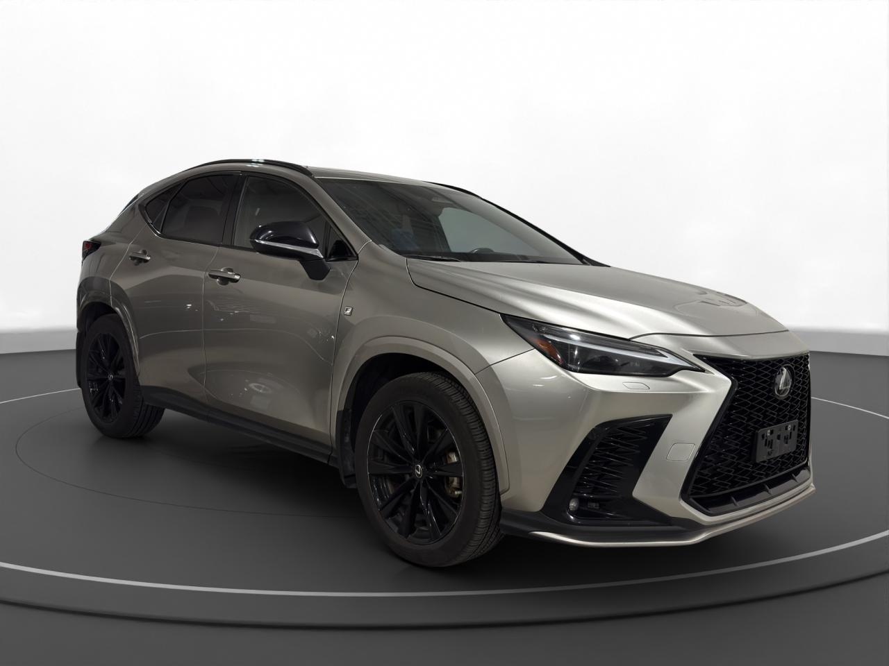 2022 Lexus NX NX 350 - Photo #3