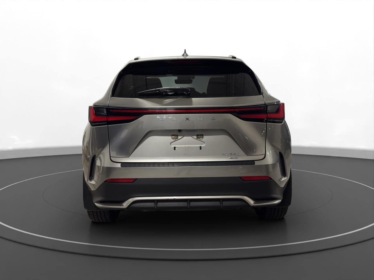 2022 Lexus NX NX 350 - Photo #6
