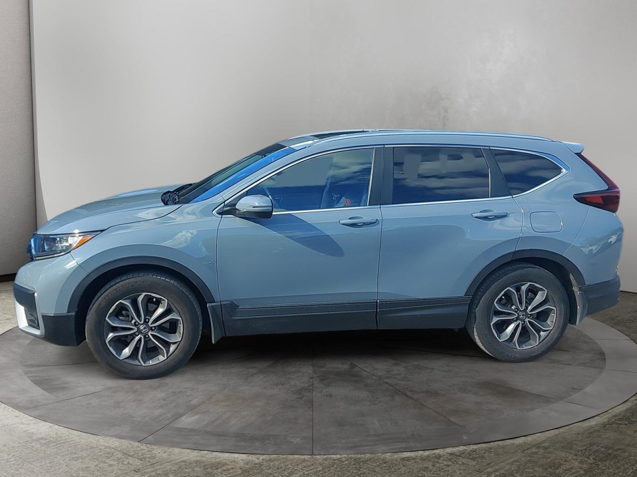 2022 Honda CR-V EX-L Photo