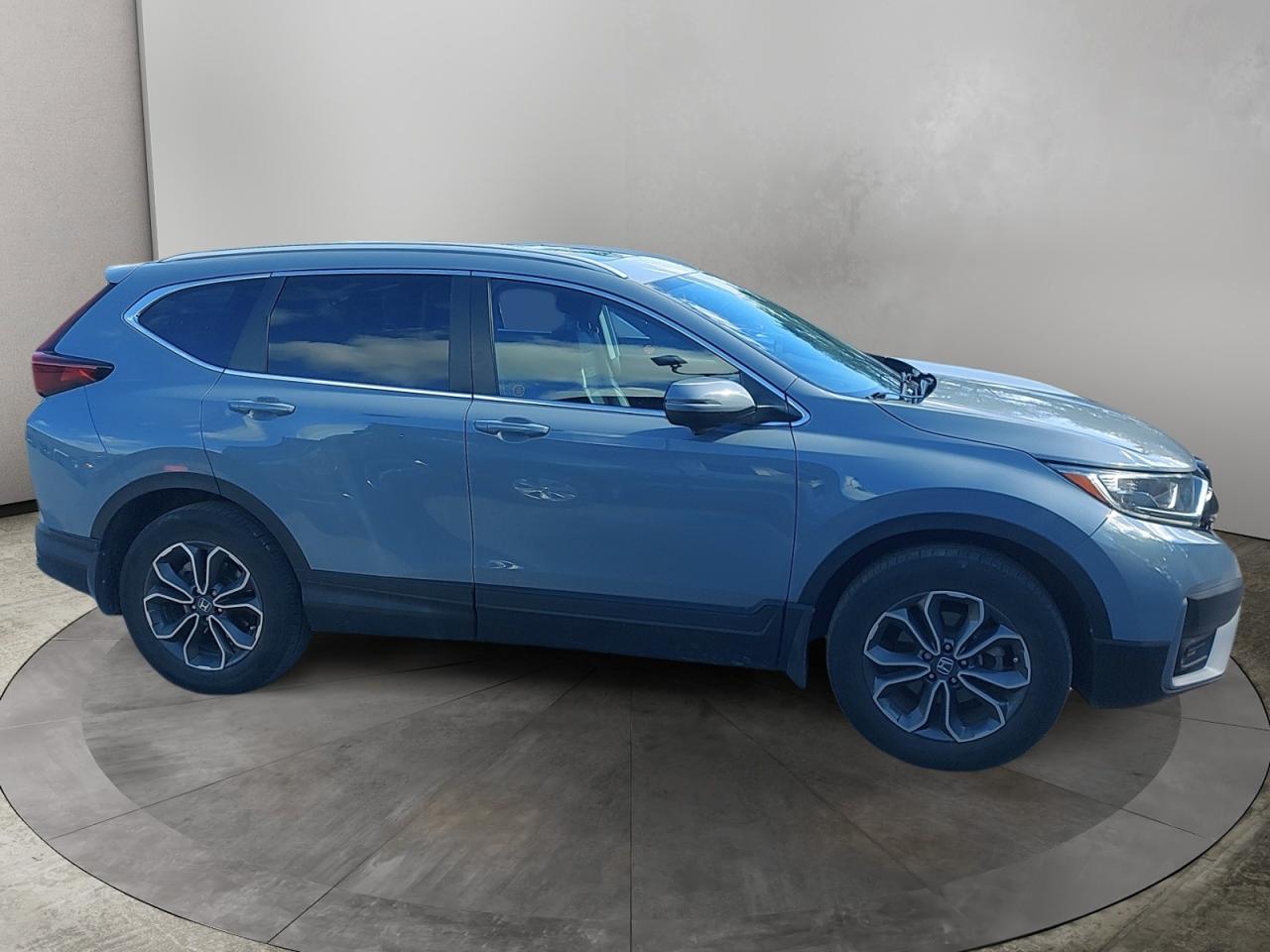 2022 Honda CR-V EX-L Photo