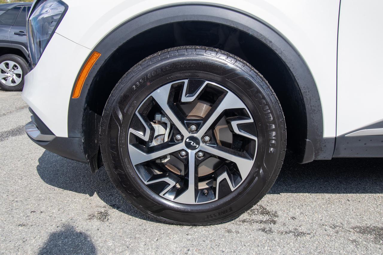 2024 Kia Sportage EX Premium Photo5