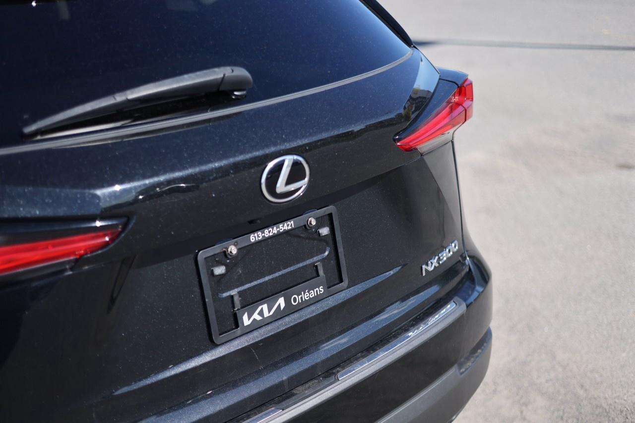 2021 Lexus NX NX 300 AWD Photo