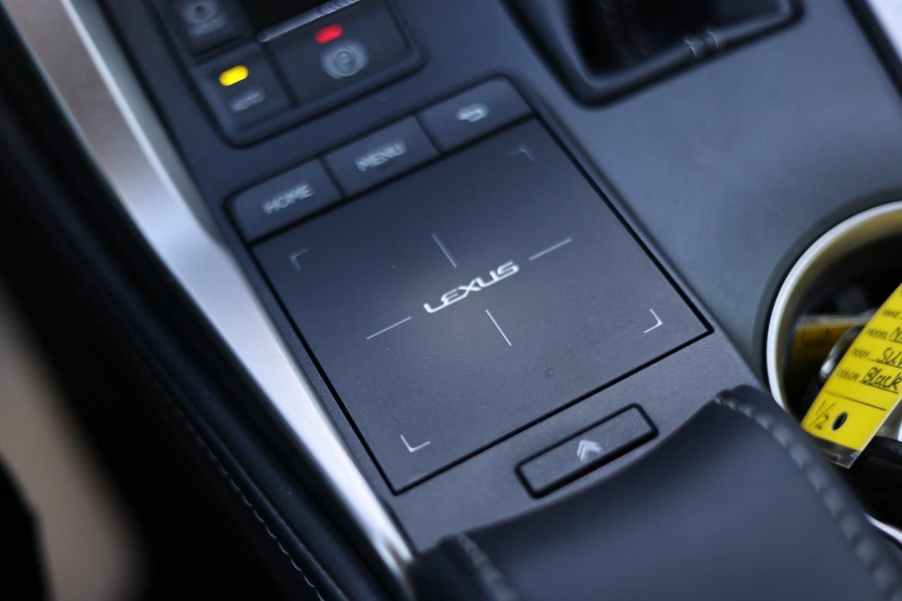 2021 Lexus NX NX 300 AWD Photo