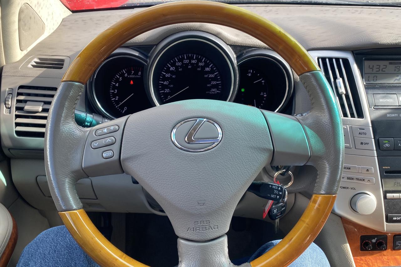 2009 Lexus RX 350  - Photo #16