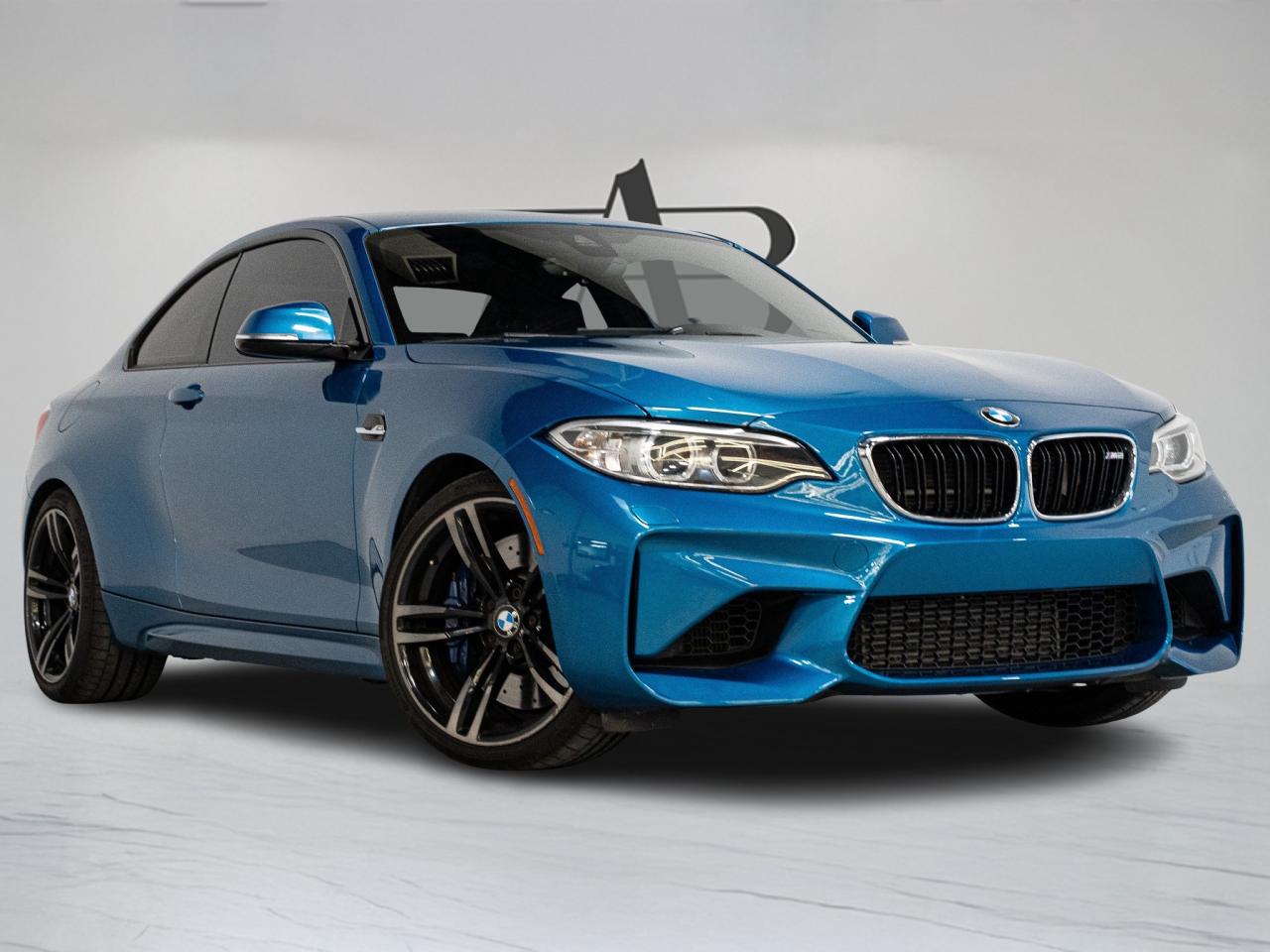 2016 BMW M2 HARMAN/KARDON | 19 IN Photo